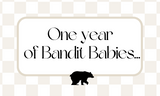 One Year of Bandit Babies – Thank You, From the Bottom of Our Mom Hearts