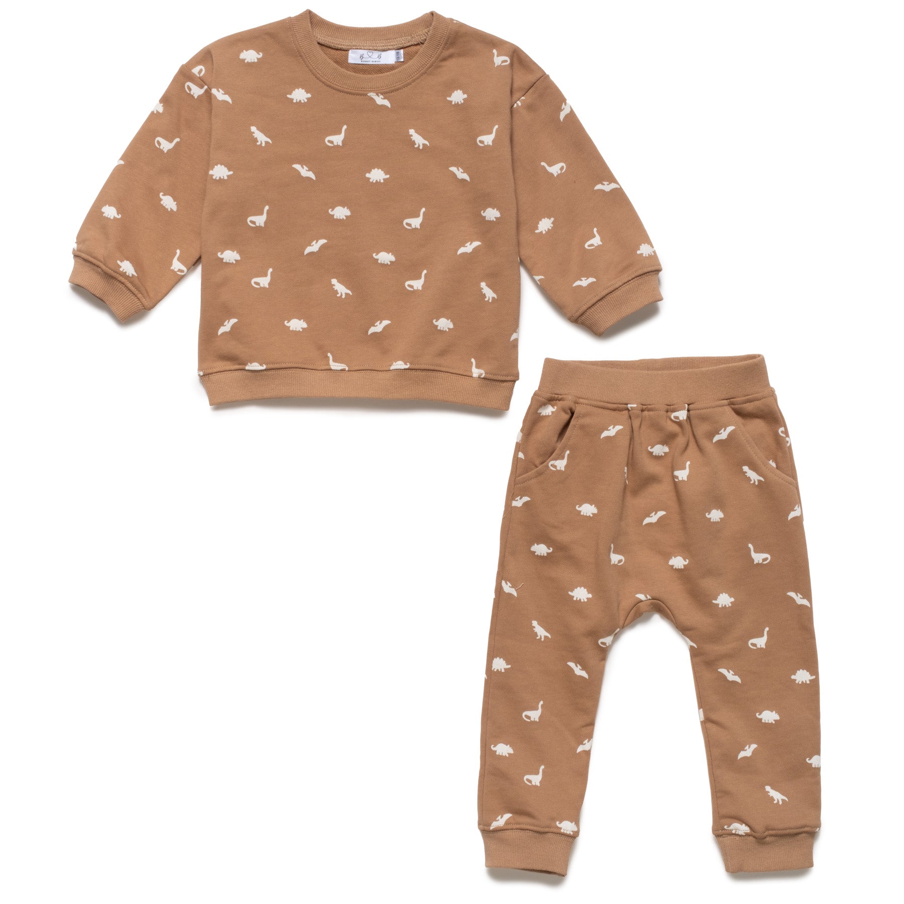 Dino Sweatsuit