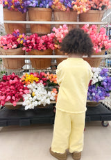 Buttercup Scalloped Set